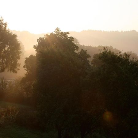 Apartamento Eifel Rebeige Gerolstein Kopp Exterior foto