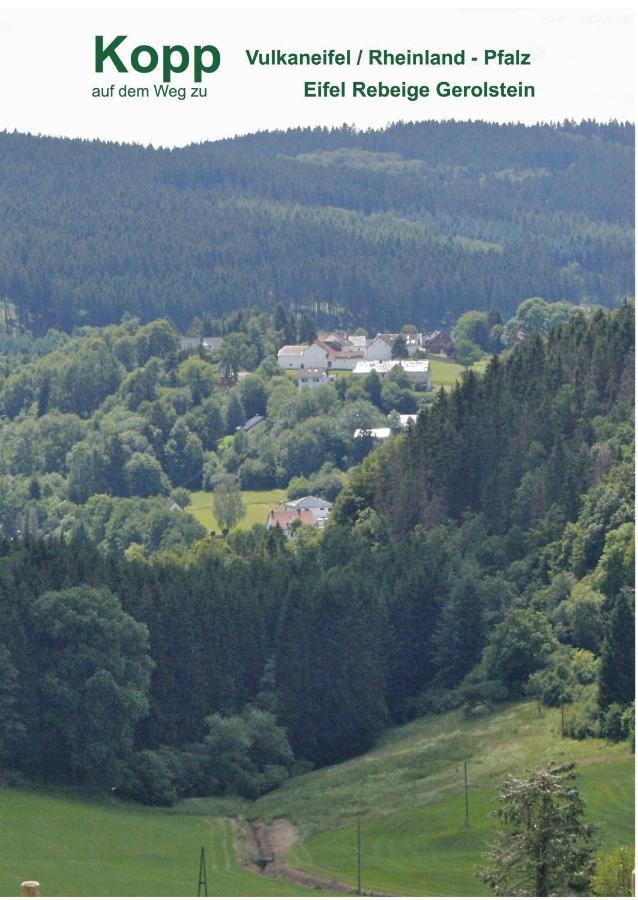 Apartamento Eifel Rebeige Gerolstein Kopp Exterior foto